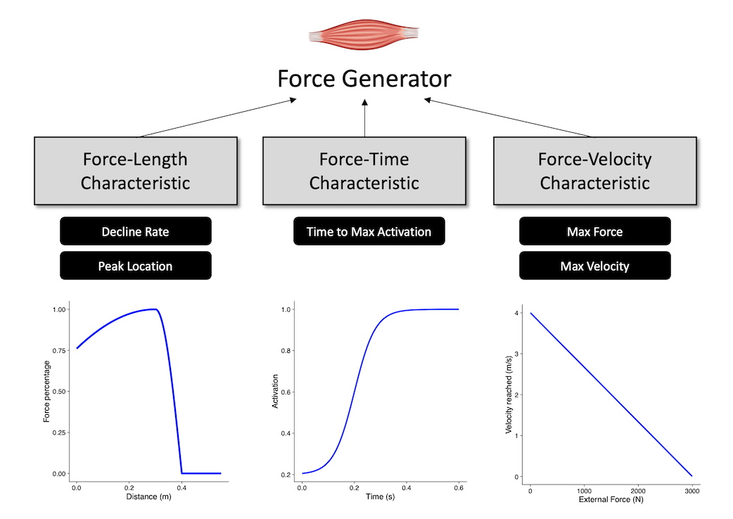 Force Generator characteristics